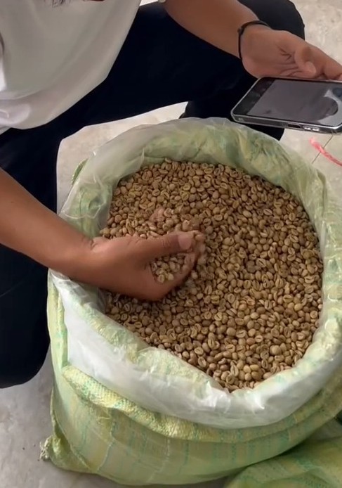 工作人员查看袋装咖啡生豆